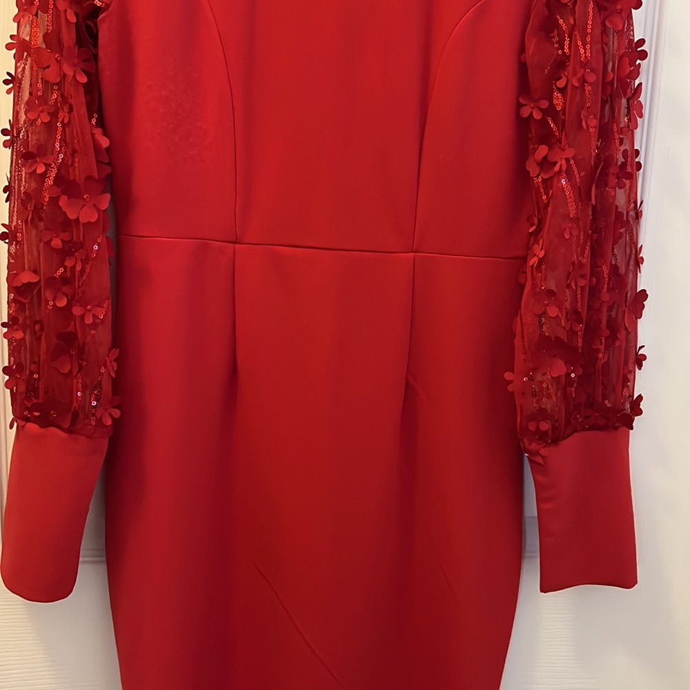 Red Dress - Picture 5 of 8